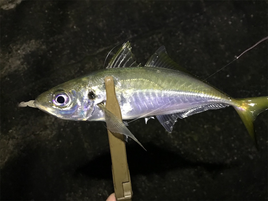 f:id:esojima3:20191231013816j:image