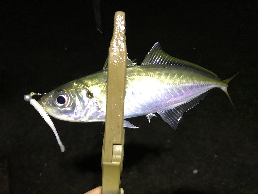 f:id:esojima3:20191231013820j:image