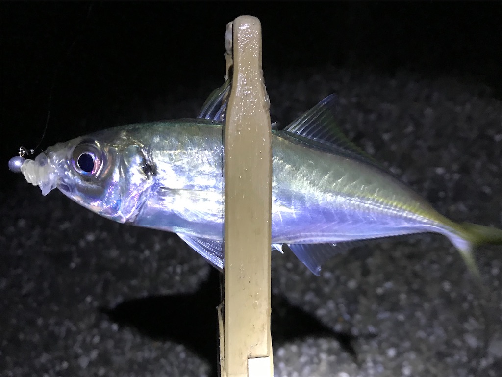 f:id:esojima3:20191231013825j:image