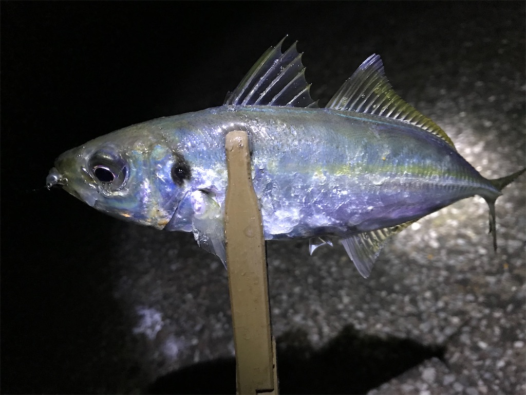 f:id:esojima3:20191231013828j:image