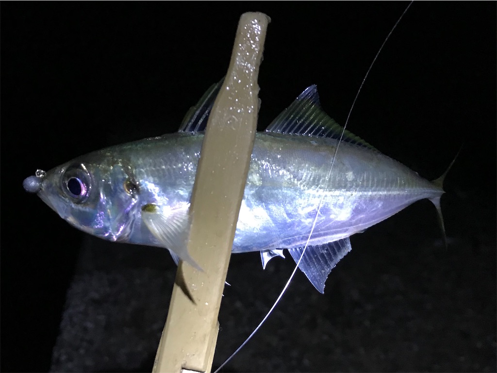 f:id:esojima3:20191231013832j:image