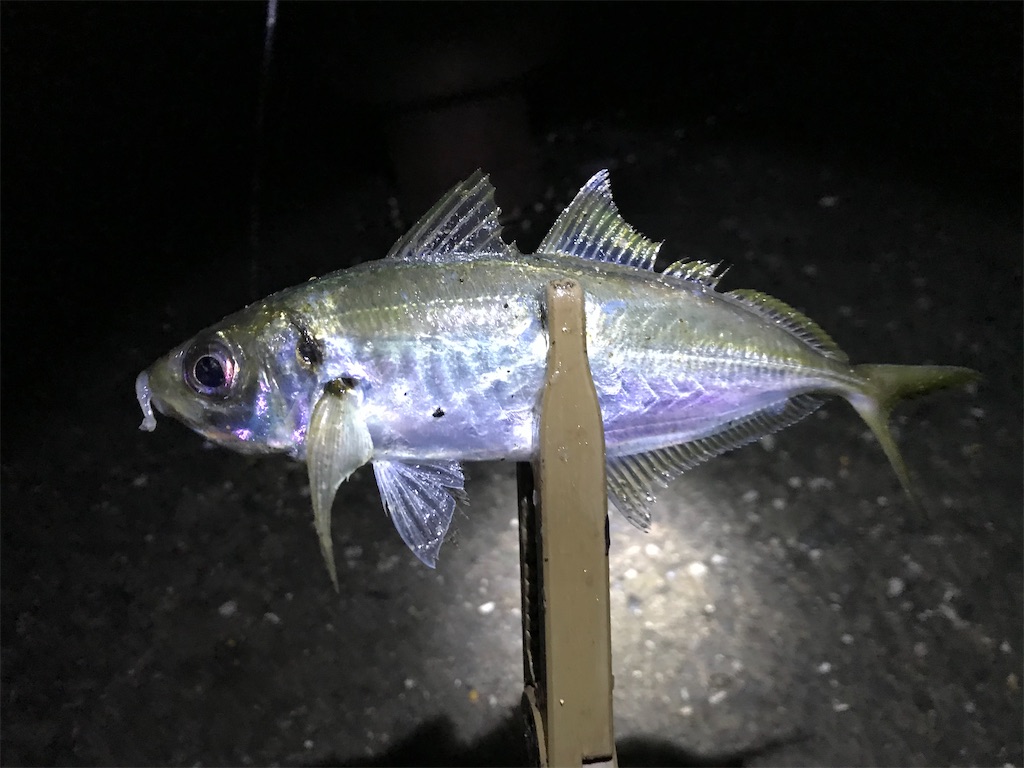 f:id:esojima3:20191231014747j:image
