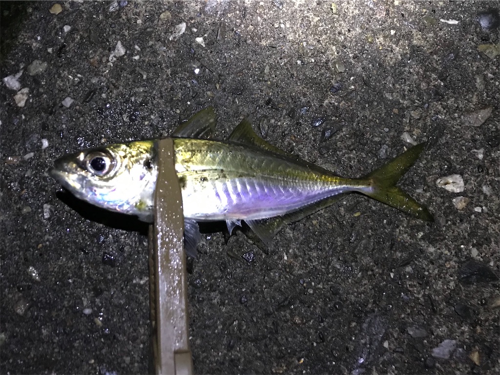 f:id:esojima3:20191231014751j:image