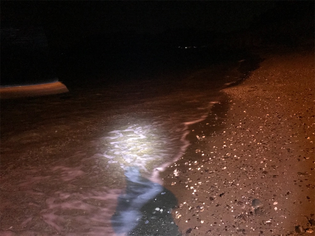 f:id:esojima3:20200104021739j:image