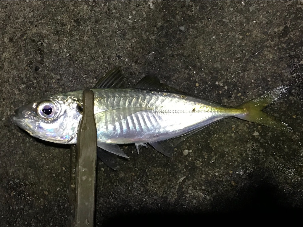 f:id:esojima3:20200105141625j:image