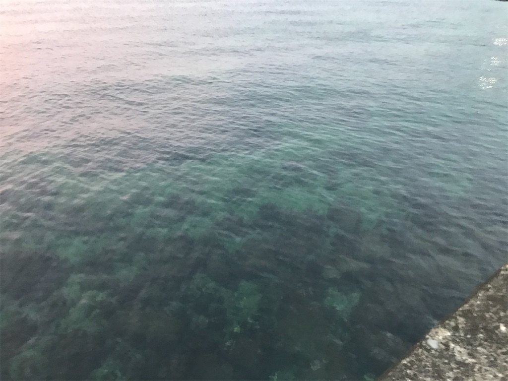 f:id:esojima3:20200107203011j:image