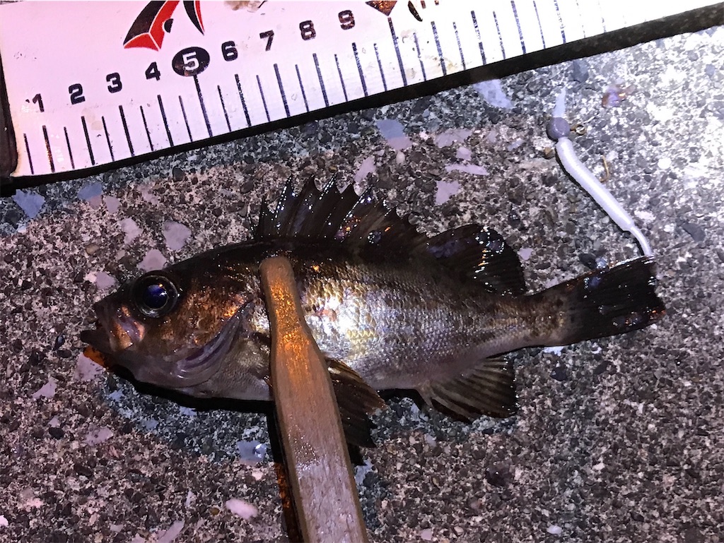 f:id:esojima3:20200107203525j:image