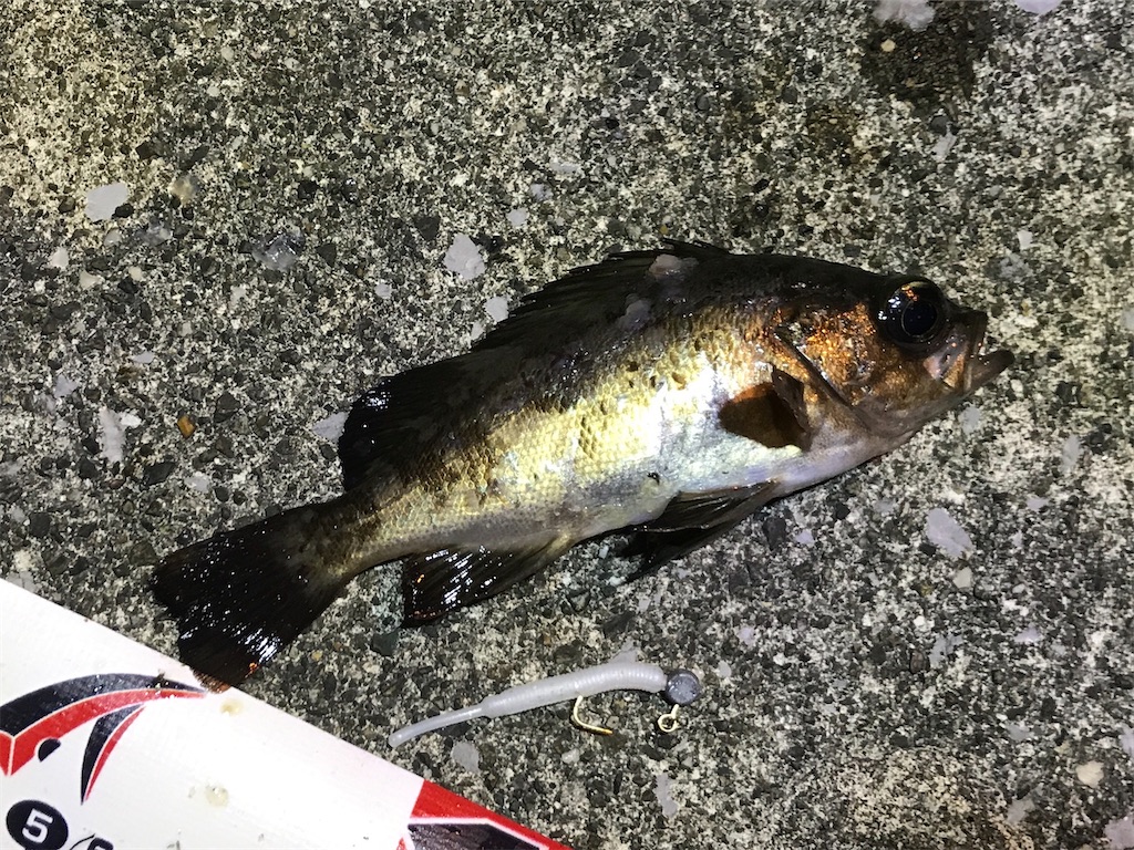 f:id:esojima3:20200107203536j:image