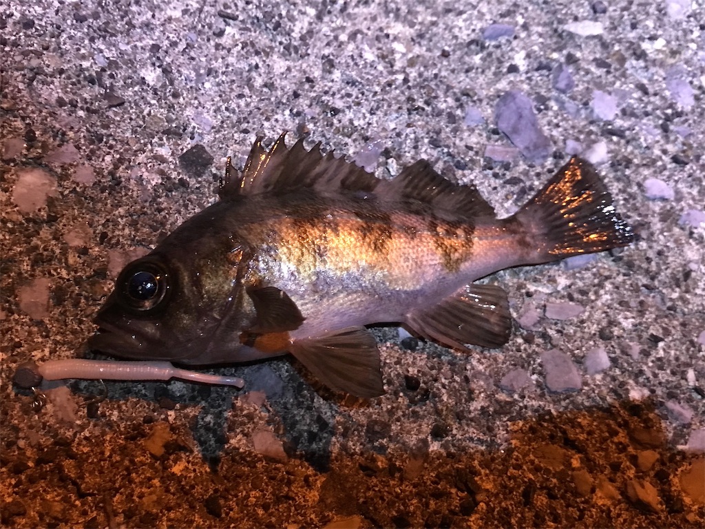 f:id:esojima3:20200109232800j:image