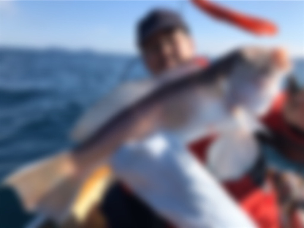 f:id:esojima3:20200111203751j:image