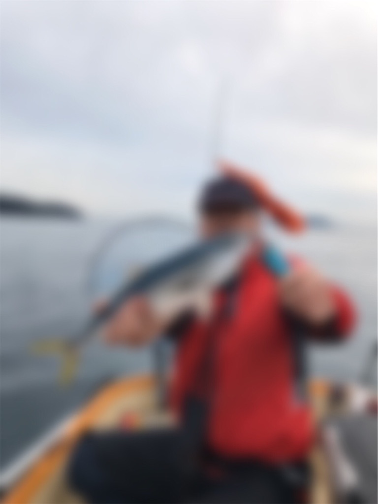 f:id:esojima3:20200111203756j:image