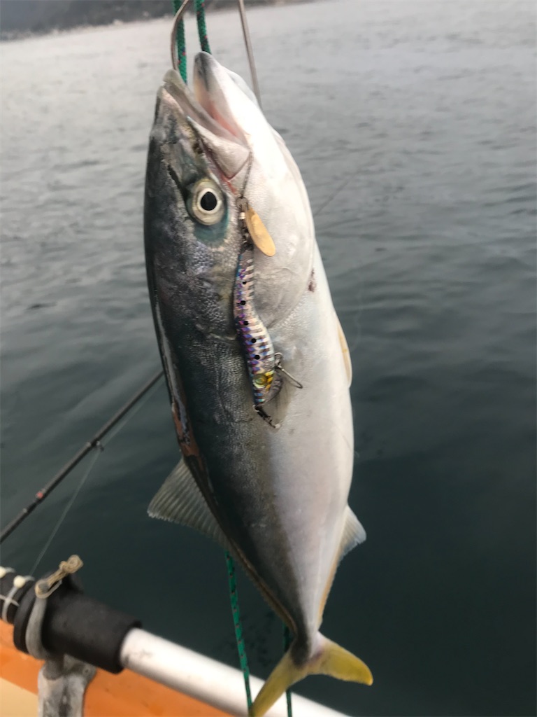 f:id:esojima3:20200112093229j:image