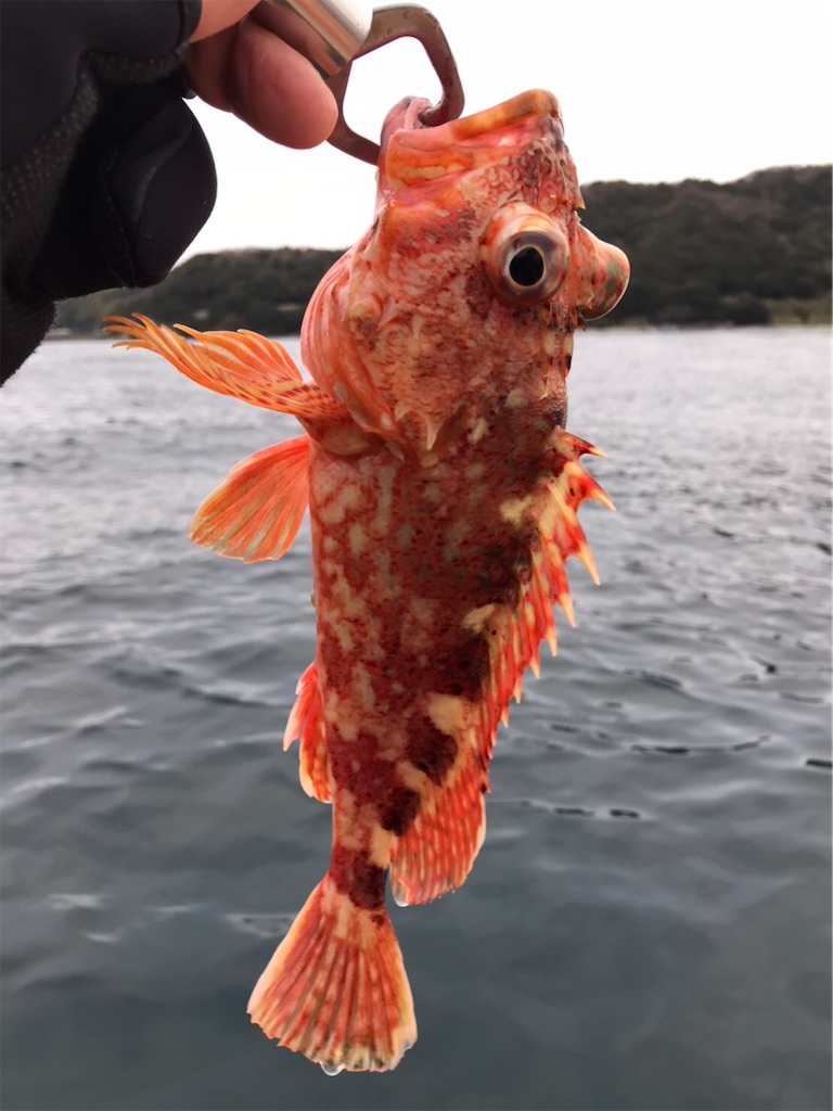 f:id:esojima3:20200112114527j:image