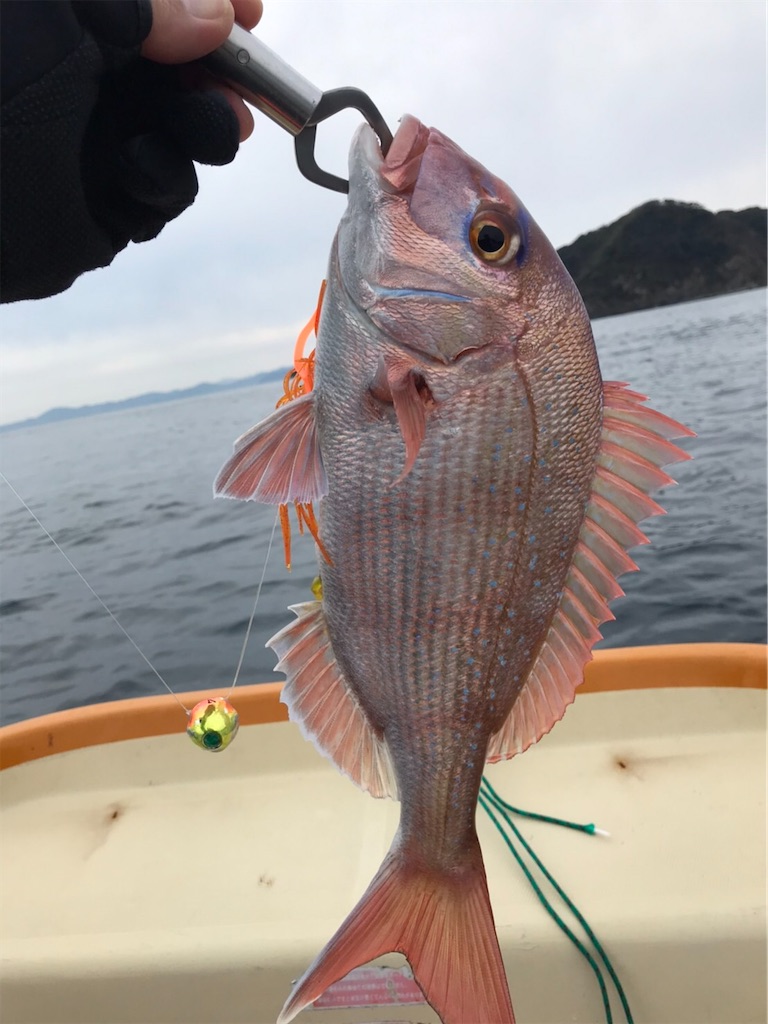 f:id:esojima3:20200112114614j:image