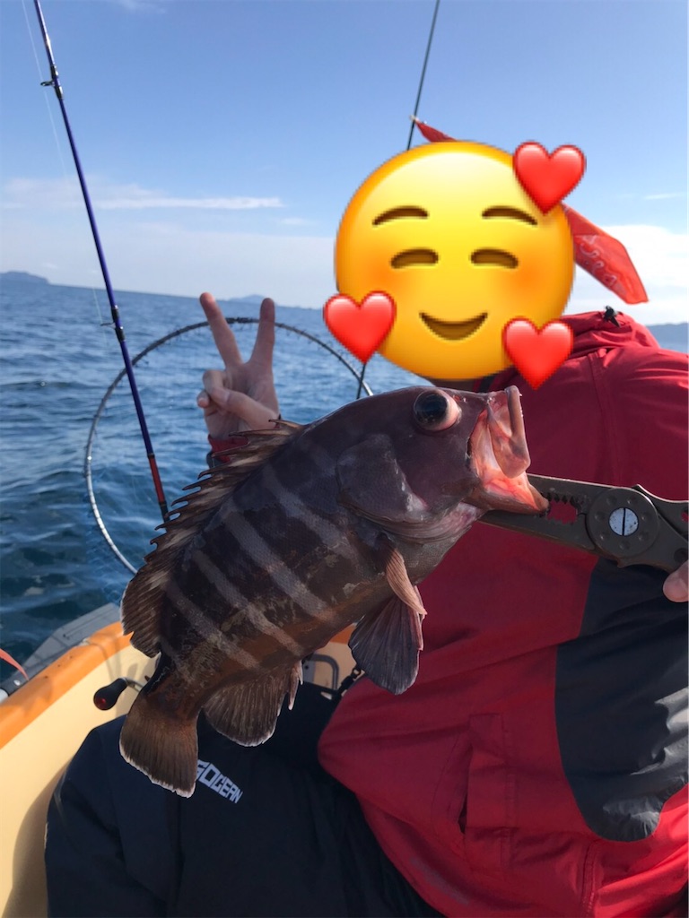 f:id:esojima3:20200112131054j:image