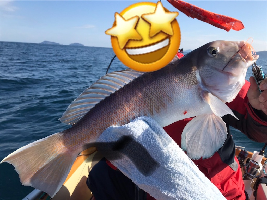 f:id:esojima3:20200112132551j:image