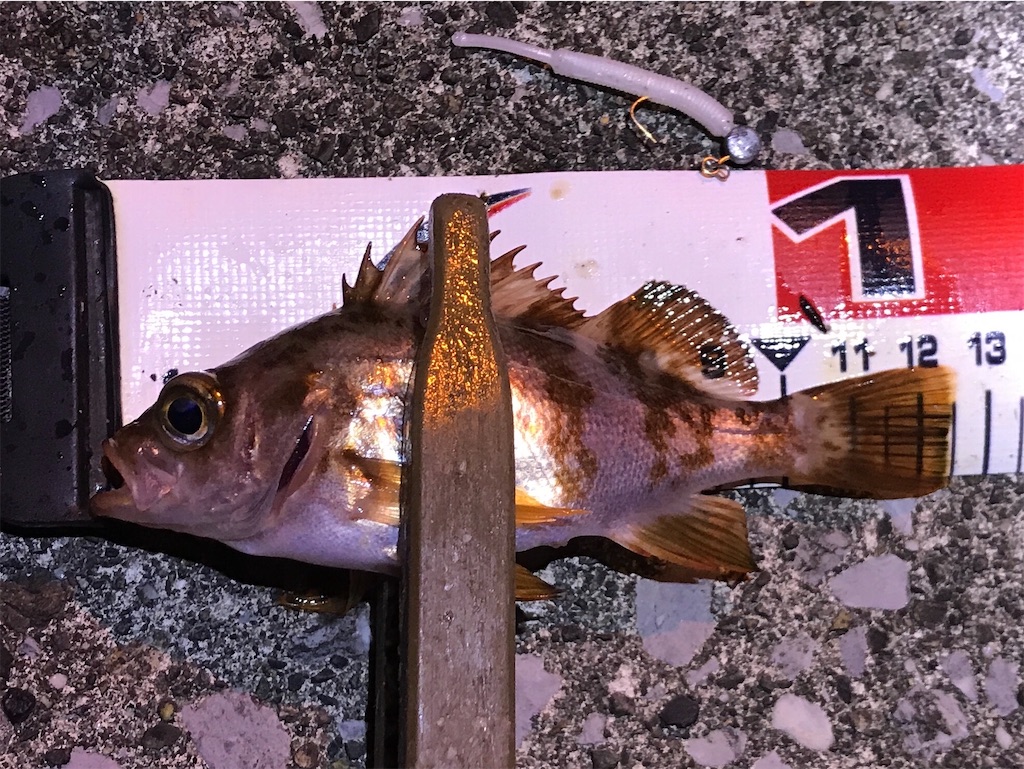 f:id:esojima3:20200112202634j:image