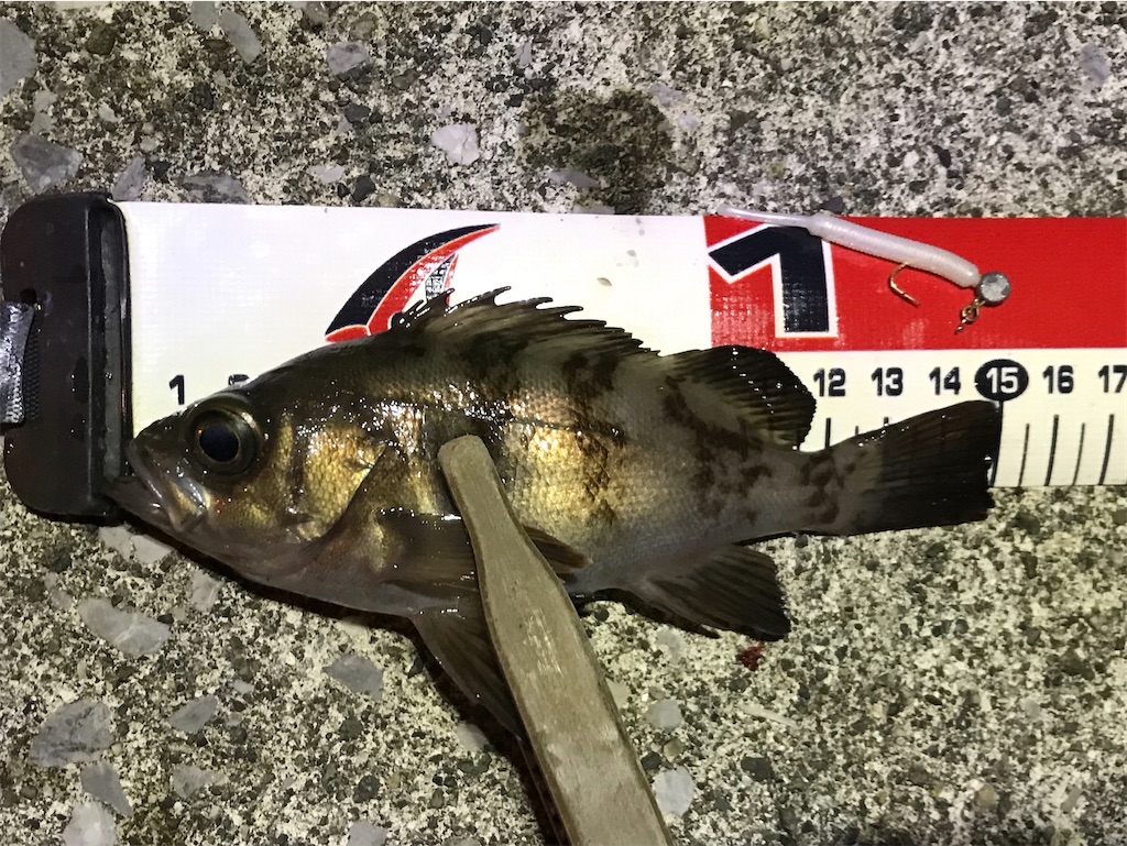 f:id:esojima3:20200113135855j:image f:id:esojima3:20200113135855j:image