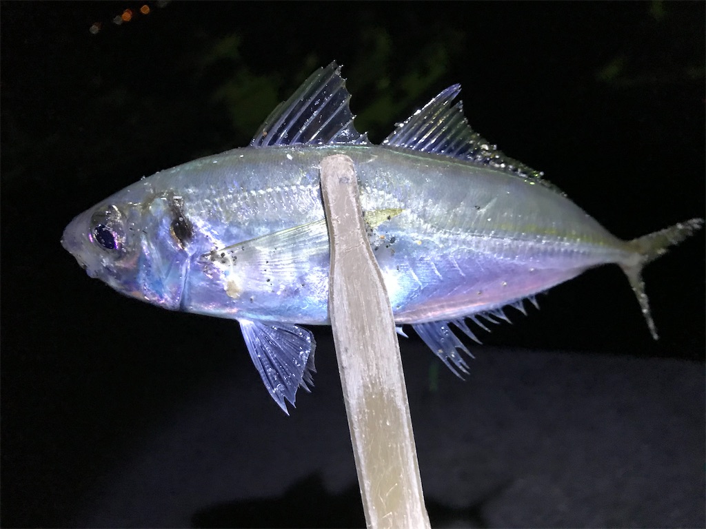 f:id:esojima3:20200113141420j:image f:id:esojima3:20200113141420j:image