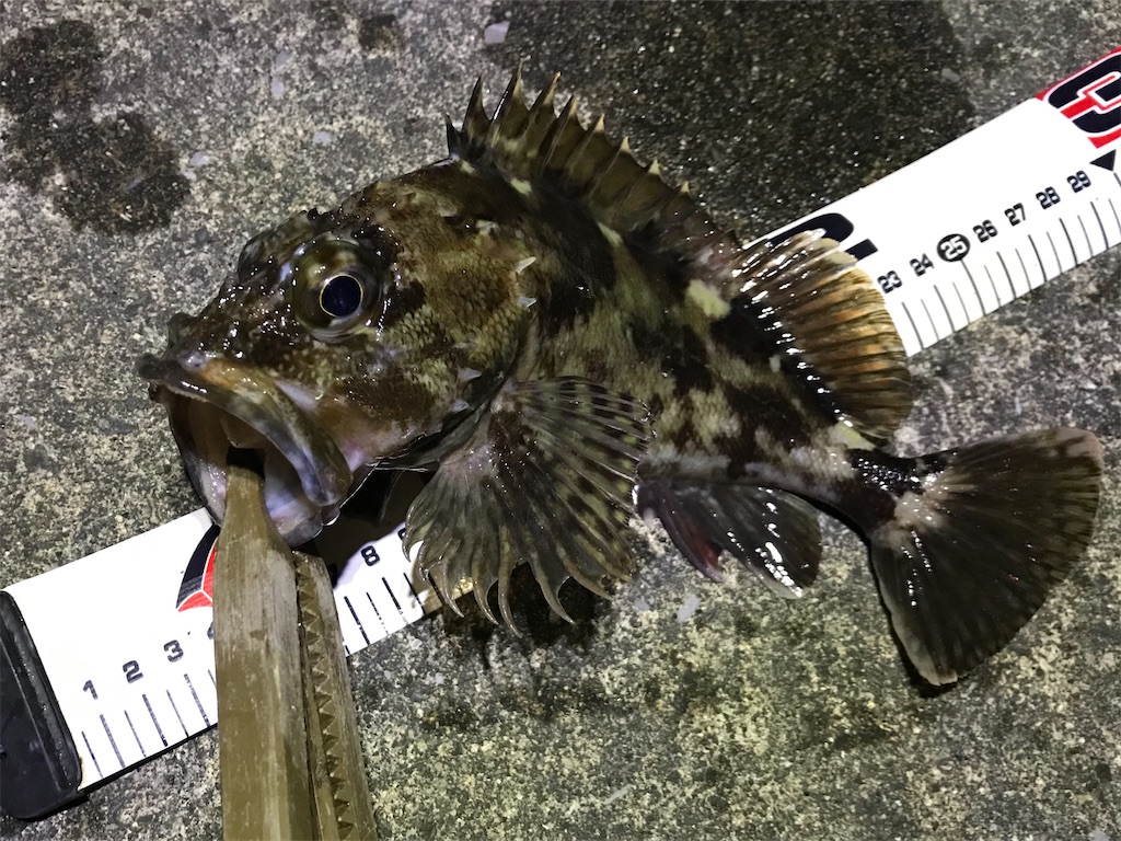 f:id:esojima3:20200113230251j:image