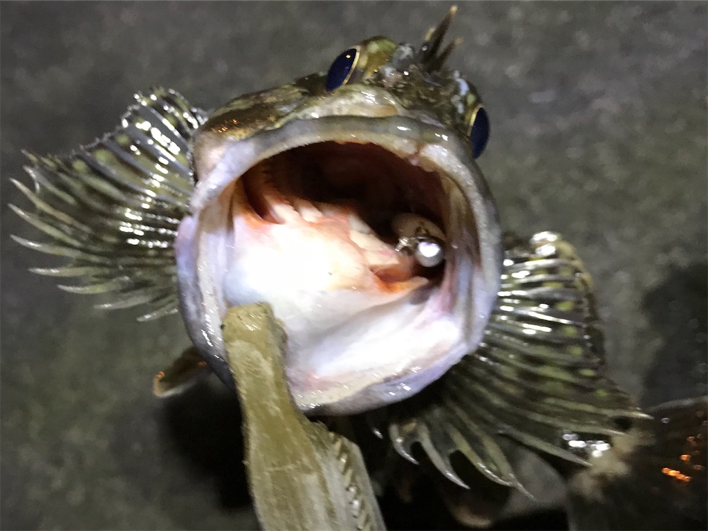 f:id:esojima3:20200113230255j:image