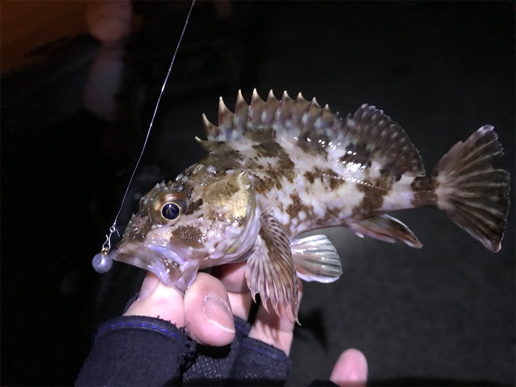 f:id:esojima3:20200114223551j:image