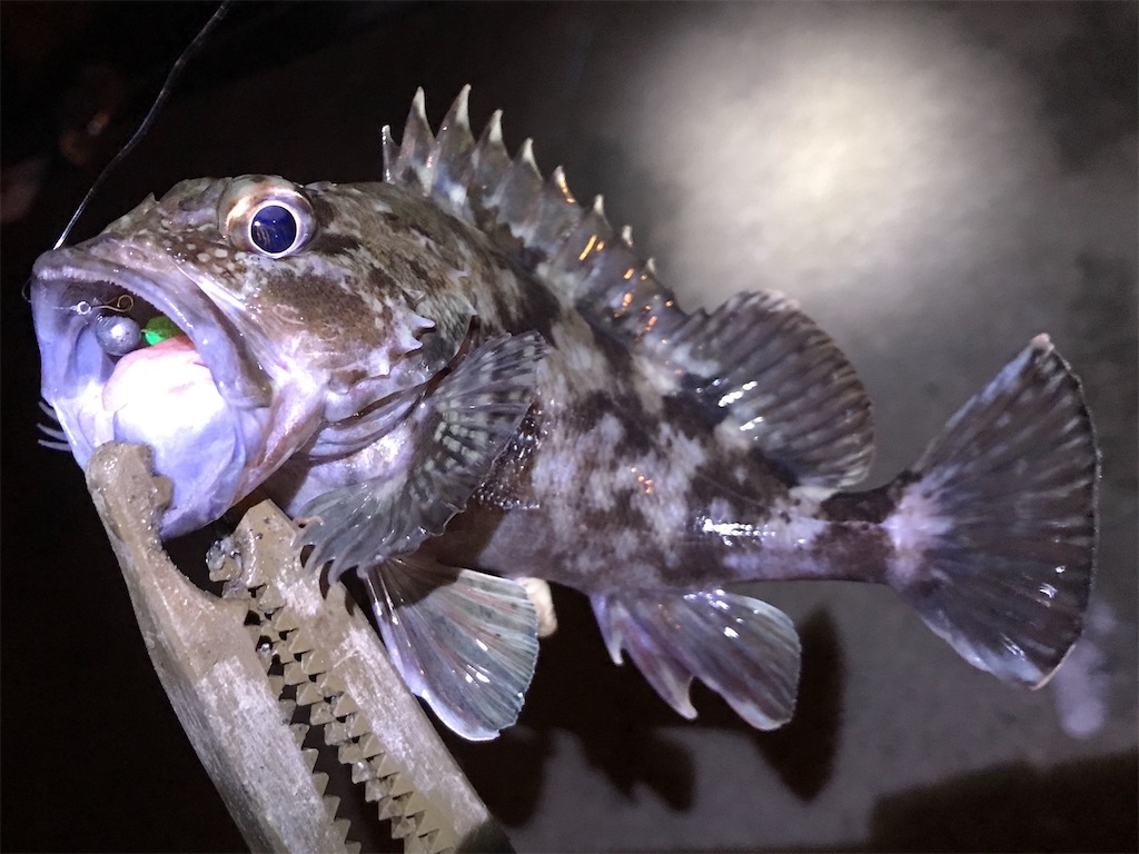f:id:esojima3:20200114223620j:image