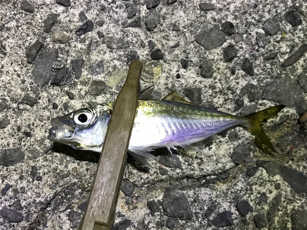 f:id:esojima3:20200115224230j:image