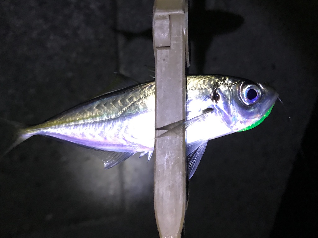 f:id:esojima3:20200115224715j:image