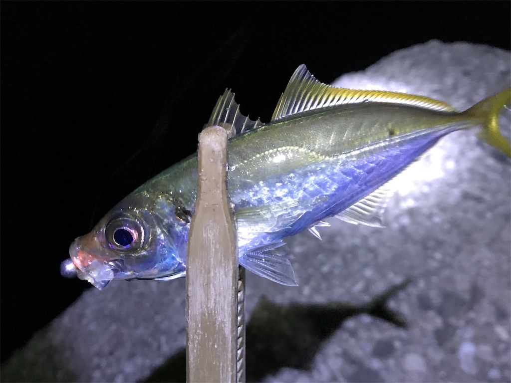 f:id:esojima3:20200115225031j:image