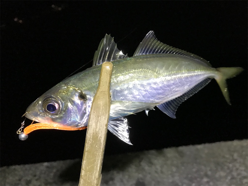 f:id:esojima3:20200115225036j:image