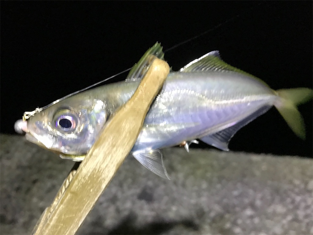 f:id:esojima3:20200115225039j:image