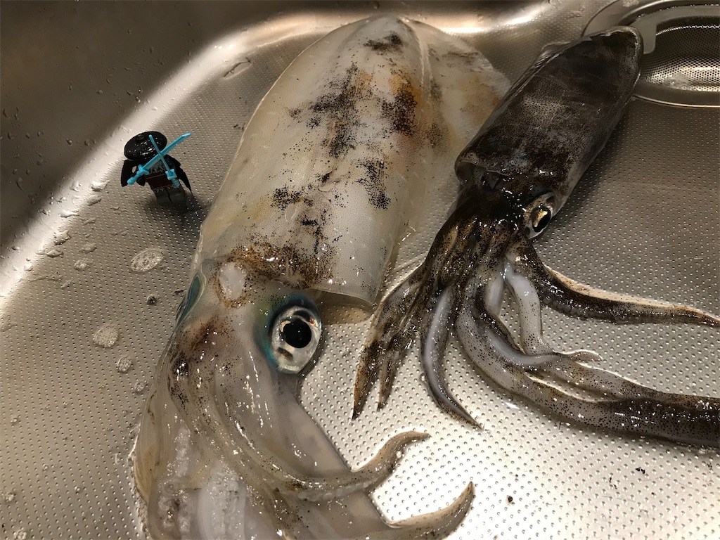f:id:esojima3:20200119141359j:image