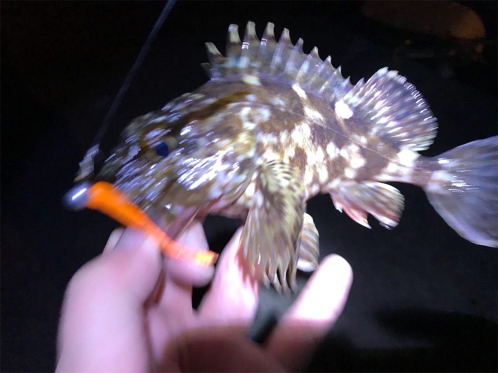 f:id:esojima3:20200120235349j:image