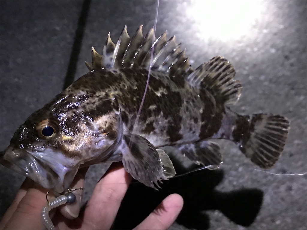 f:id:esojima3:20200120235517j:image