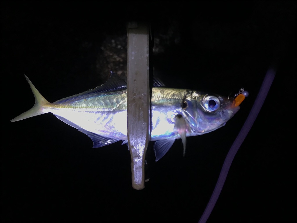 f:id:esojima3:20200121225008j:image