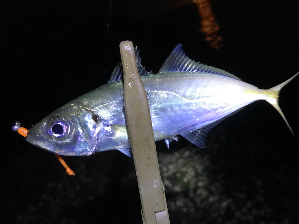 f:id:esojima3:20200121225301j:image