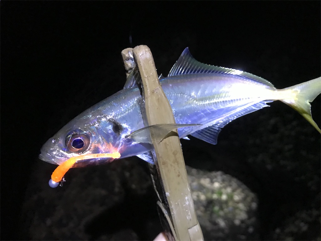 f:id:esojima3:20200121225305j:image