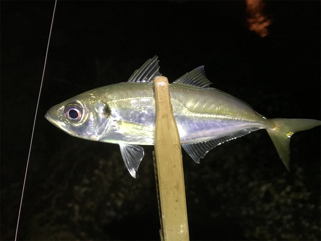 f:id:esojima3:20200121225309j:image