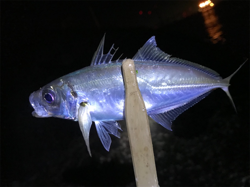 f:id:esojima3:20200121225313j:image