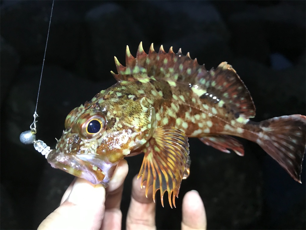 f:id:esojima3:20200122205902j:image f:id:esojima3:20200122205902j:image