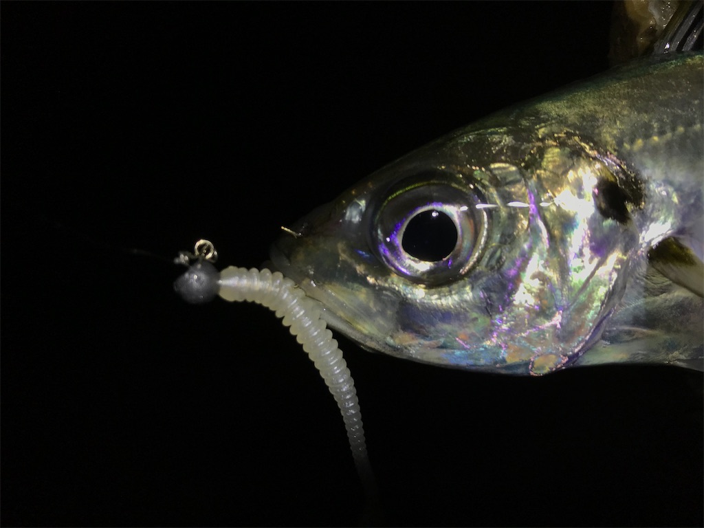 f:id:esojima3:20200122210259j:image f:id:esojima3:20200122210259j:image