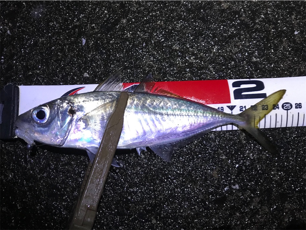 f:id:esojima3:20200122212201j:image f:id:esojima3:20200122212201j:image