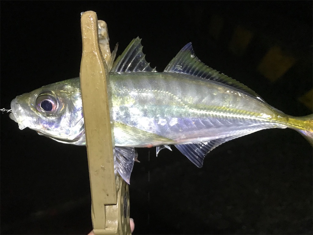 f:id:esojima3:20200122212514j:image f:id:esojima3:20200122212514j:image