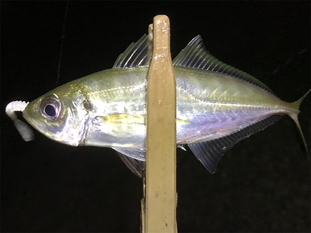 f:id:esojima3:20200122212523j:image f:id:esojima3:20200122212523j:image