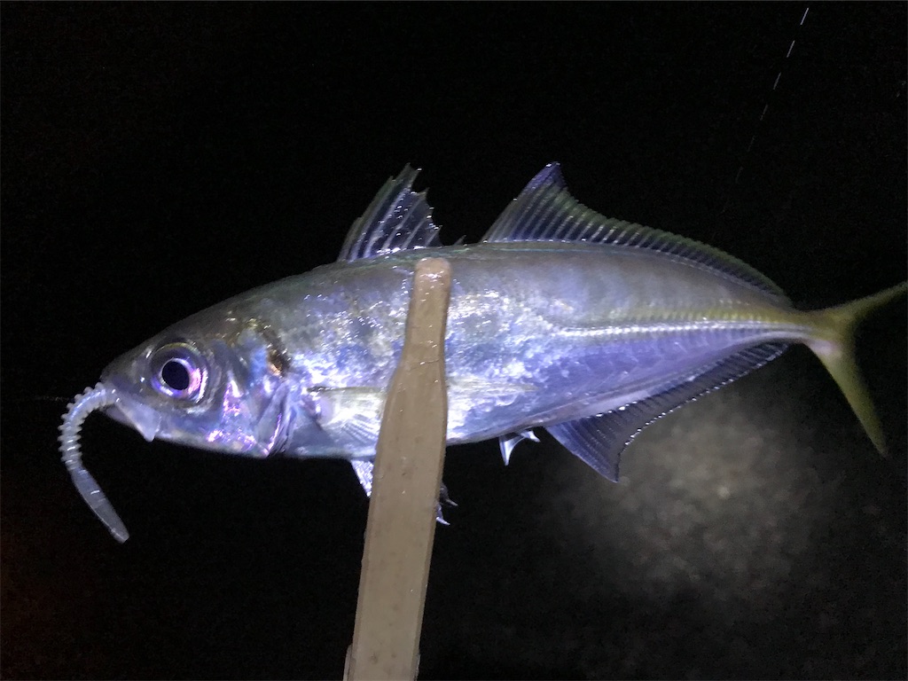 f:id:esojima3:20200122212526j:image f:id:esojima3:20200122212526j:image