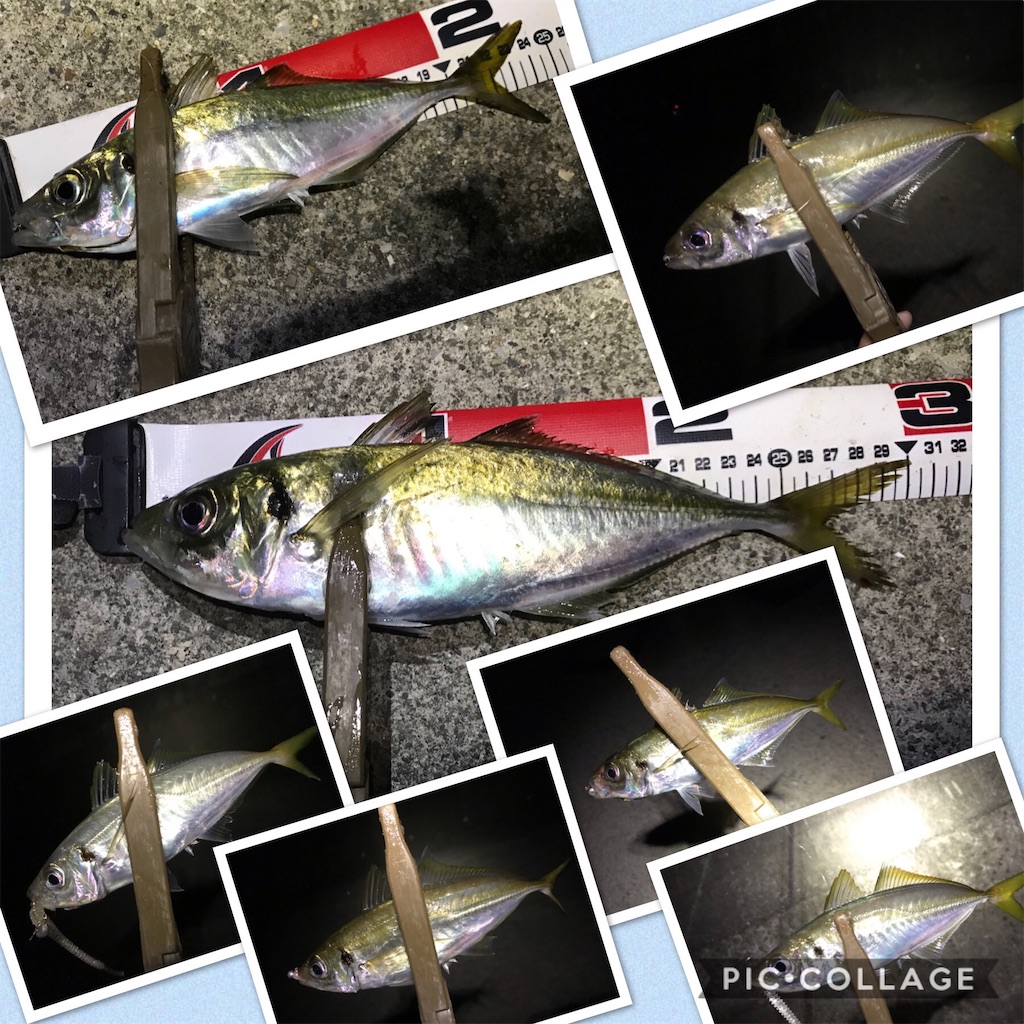 f:id:esojima3:20200123191015j:image