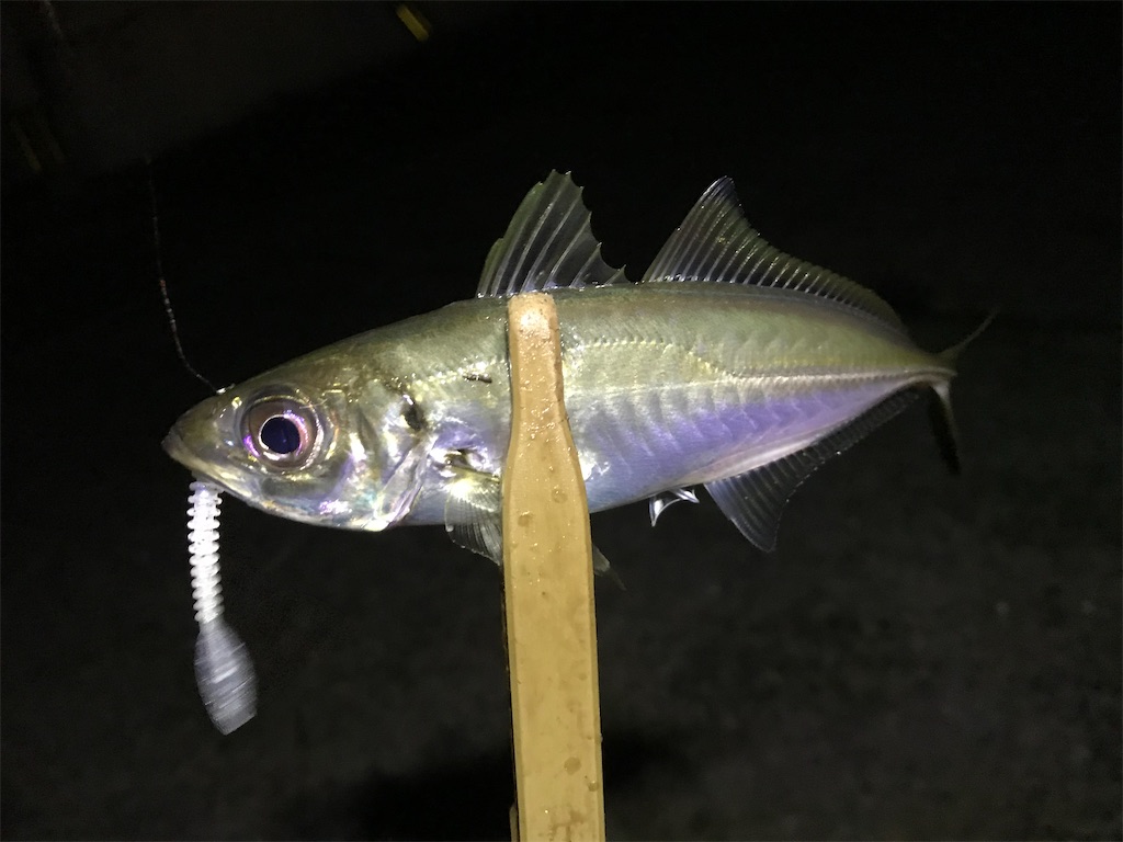 f:id:esojima3:20200123232919j:image f:id:esojima3:20200123232919j:image