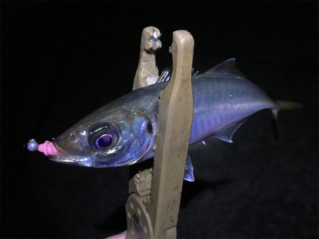 f:id:esojima3:20200123233311j:image f:id:esojima3:20200123233311j:image