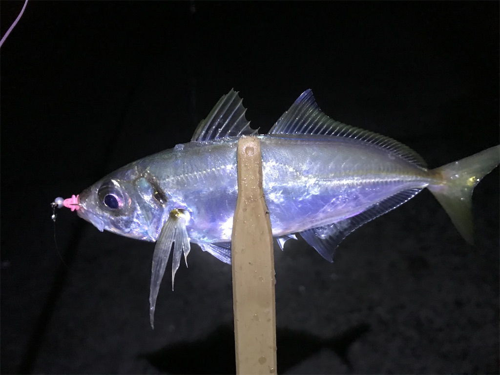 f:id:esojima3:20200123233315j:image f:id:esojima3:20200123233315j:image